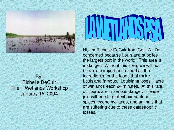 by richelle decuir title 1 wetlands workshop january 15 2004
