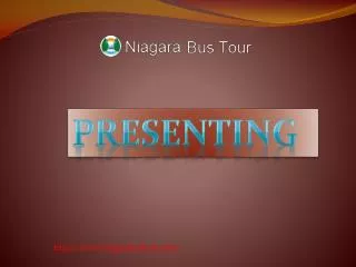 Niagara Falls tour reviews