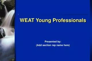 WEAT Young Professionals