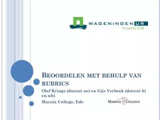 beoordelen met behulp van rubrics