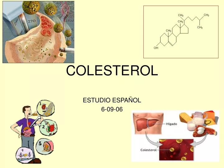 colesterol