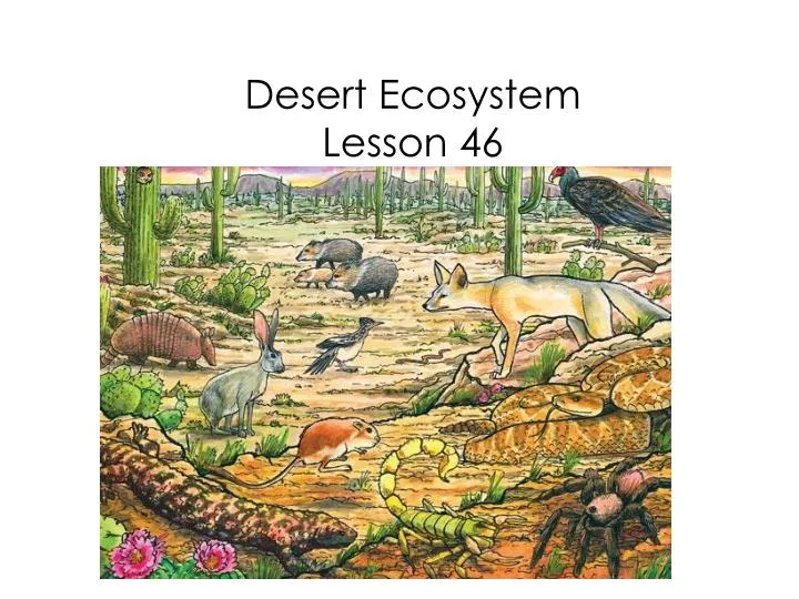 desert ecosystem lesson 46