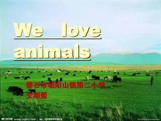 we love animals