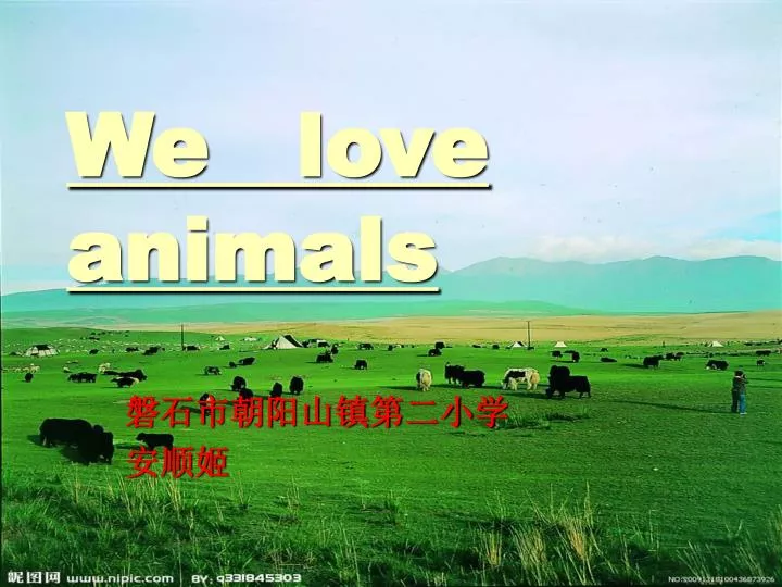 we love animals