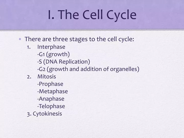 i the cell cycle