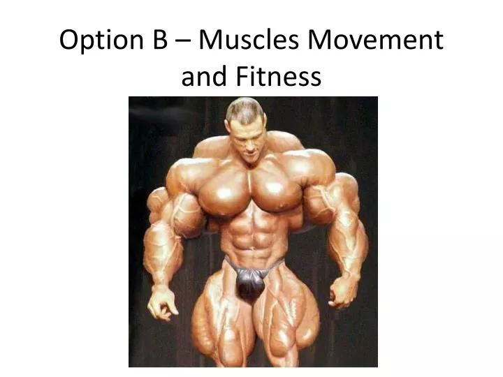 option b muscles movement and fitness