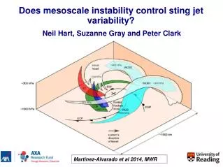 Does mesoscale instability control sting jet variability?