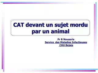 cat devant un sujet mordu par un animal