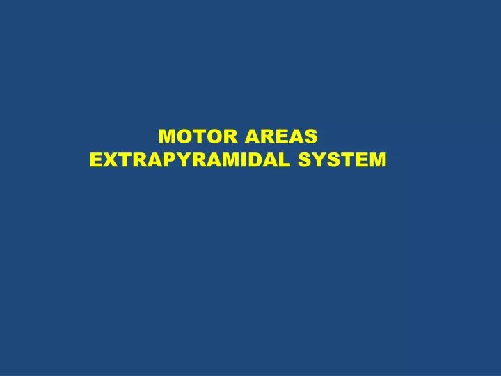 motor areas extrapyramidal system