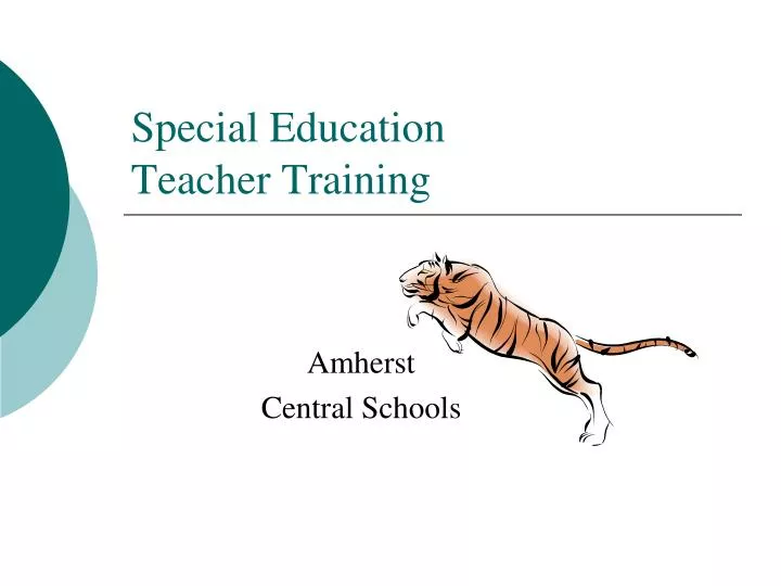 special education teacher training