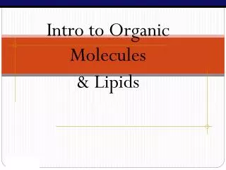 Intro to Organic Molecules &amp; Lipids