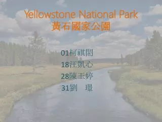 Yellowstone National Park ??????
