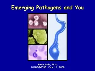 Emerging Pathogens and You