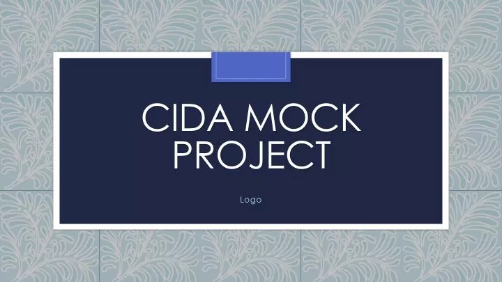 cida mock project
