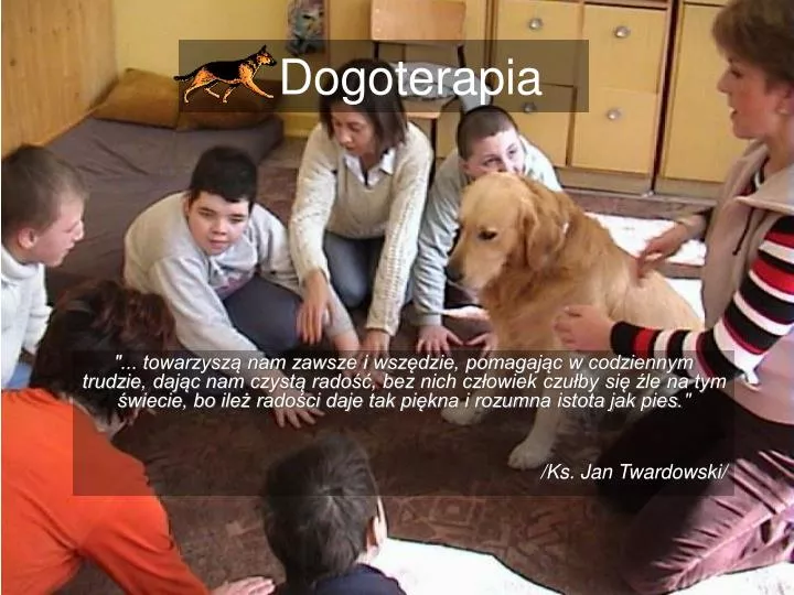 dogoterapia