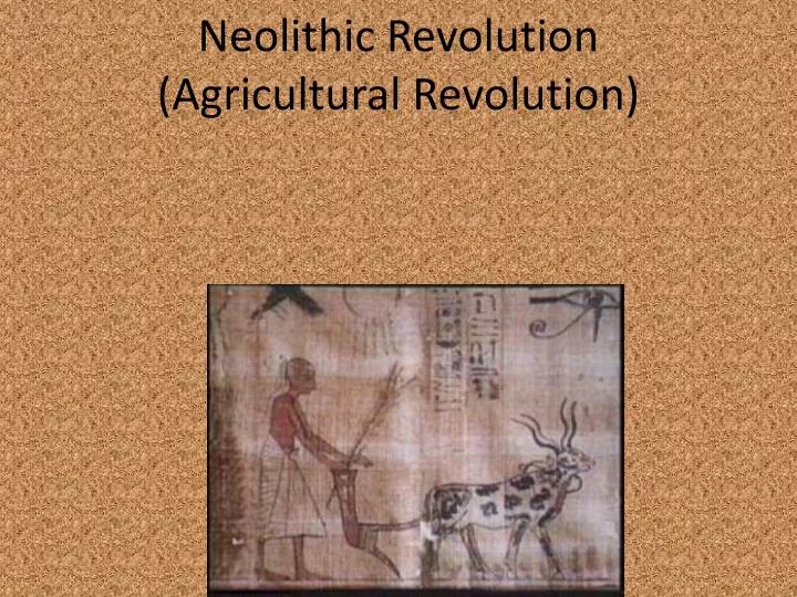 neolithic revolution agricultural revolution