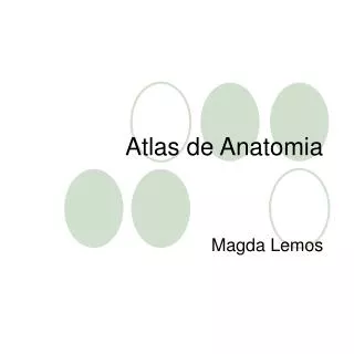 atlas de anatomia