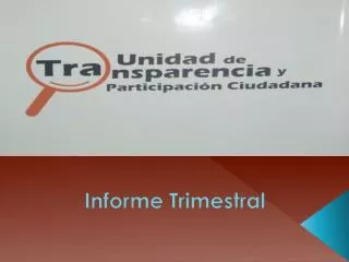 informe trimestral