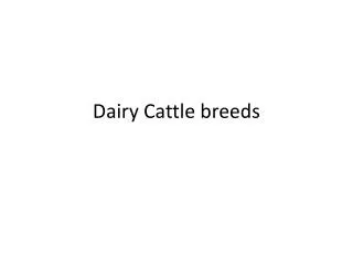 Dairy Cattle breeds