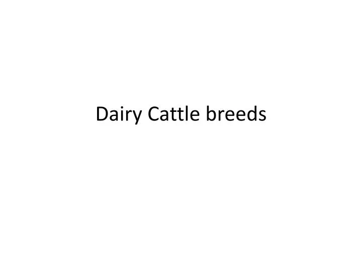 dairy cattle breeds