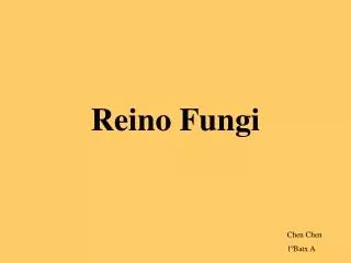 reino fungi
