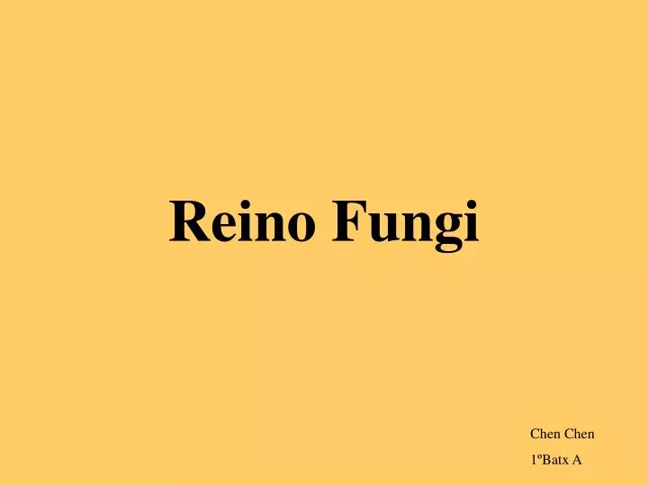 reino fungi