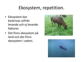 ekosystem repetition