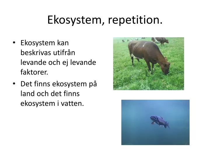 ekosystem repetition