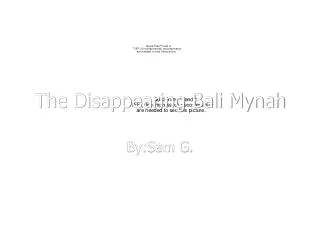 The Disappearing Bali Mynah