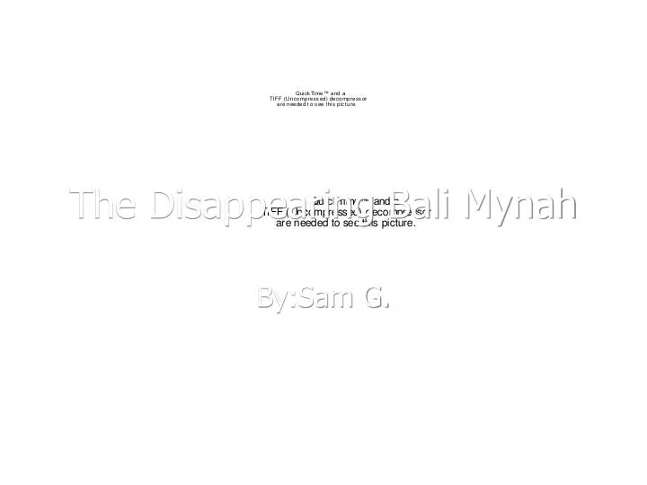 the disappearing bali mynah