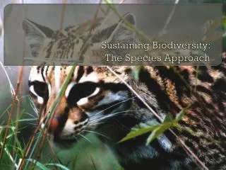 Sustaining Biodiversity: The Species Approach