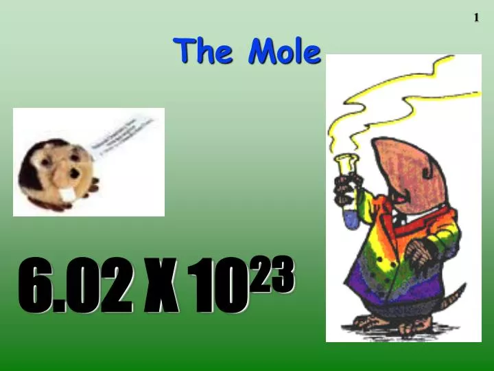 the mole