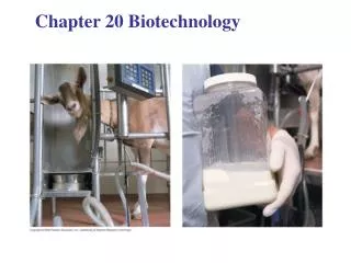 Chapter 20 Biotechnology