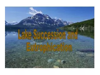 Lake Succession and