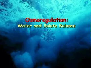 Osmoregulation: Water and Solute Balance