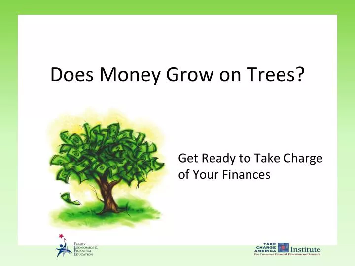 does money grow on trees
