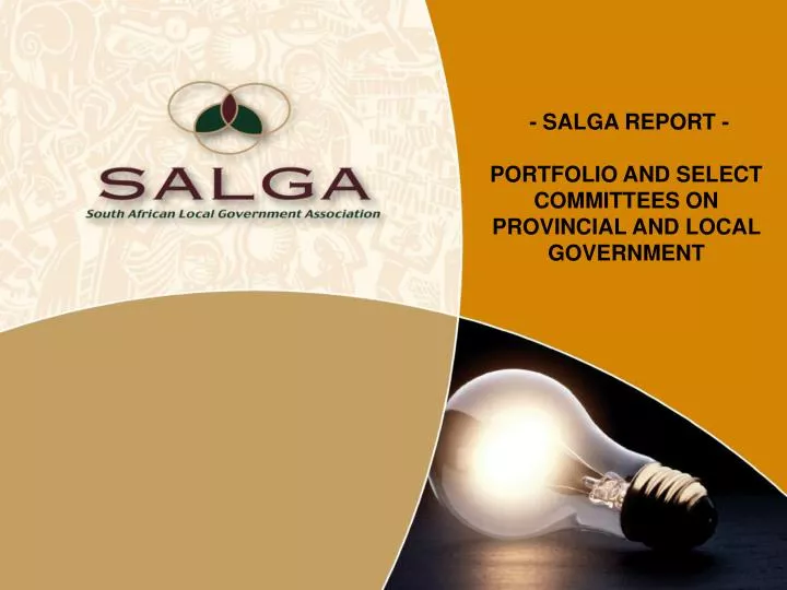 salga report portfolio and select committees on provincial and local government