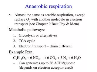 Anaerobic respiration