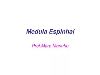medula espinhal