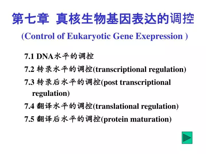 control of eukaryotic gene exepression