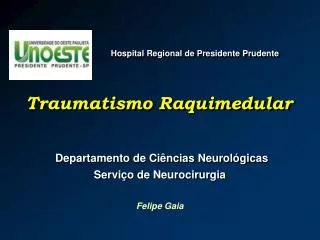 traumatismo raquimedular