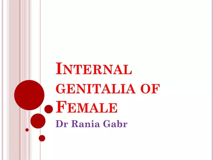 internal genitalia of female