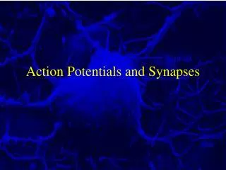 Action Potentials and Synapses