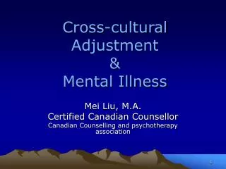 Cross-cultural Adjustment &amp; Mental Illness