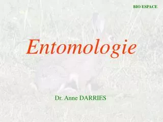 entomologie