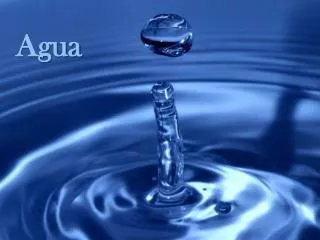 a gua