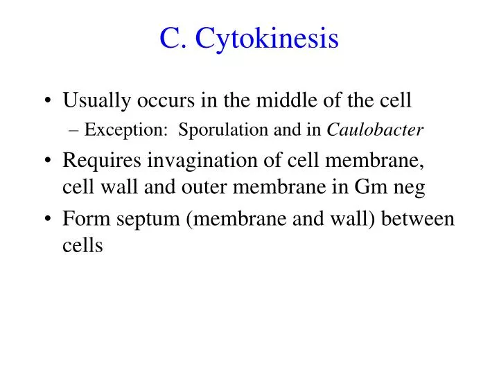 c cytokinesis