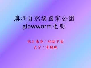 glowworm