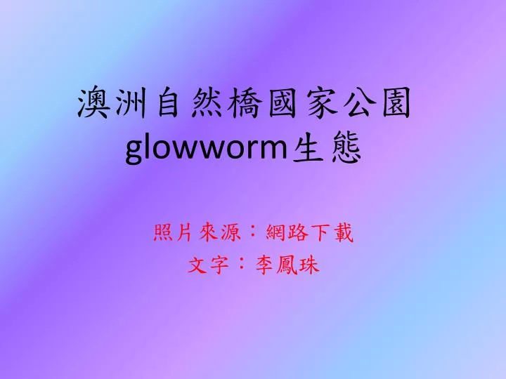 glowworm
