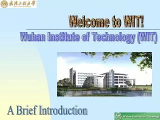 Wuhan Institute of Technology (WIT)